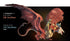 Dungeons & Dragons - Icons of the Realms Gargantuan Tiamat Figure